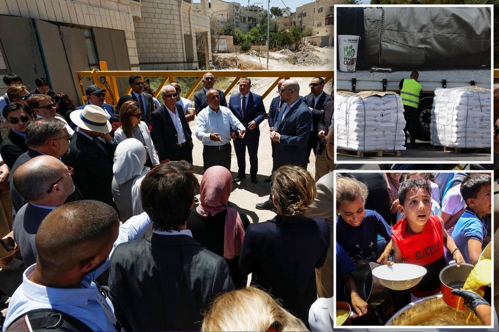NBC posts, UN debut wipes claim that '14, 000 babies could die in the next 48 hours in Gaza the day before Israeli diplomas shooting