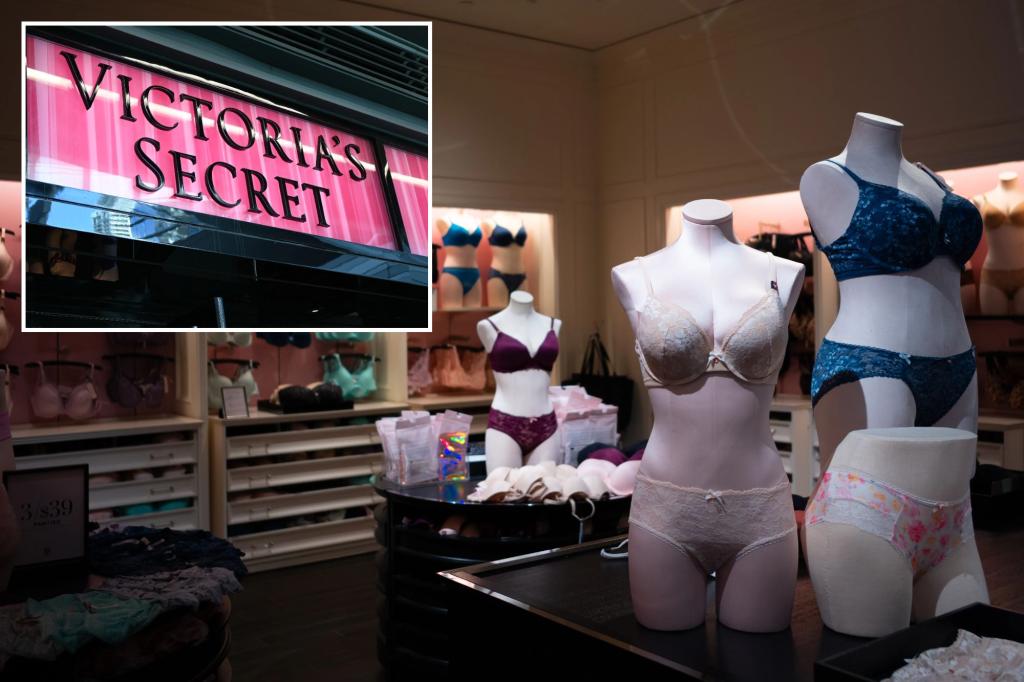 Victoria's Secret delays the release of profits behind the closed 'Security Incident' website