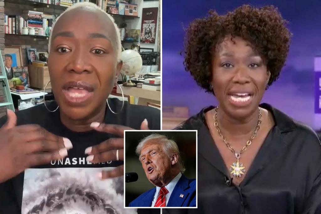 Joy Reid navigates speculation that its race, 'anxiety' around the Trump district played a role in Msnbc fire