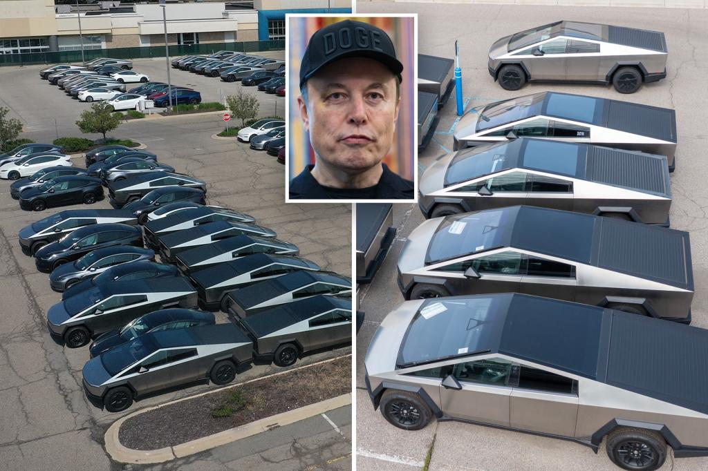Tens of tesla Cybertrucks unsold gather in the parking lot of the Michigan Shopping Center, Irking locals